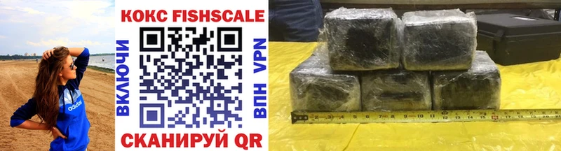 Cocaine FishScale  как найти закладки  Инсар 